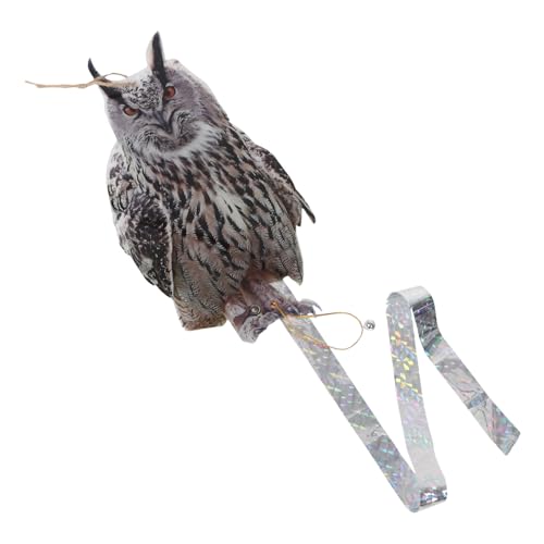 LIFKOME ˋZpڃtNE^悯 ʃAN Oό  JX Nh΍ x_ p ȒQh~ObY