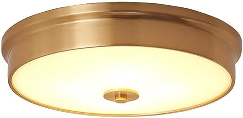 Plafonnier LED moderne pour supprimer les zones d'ombre du salon sombre