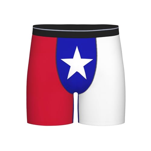 Texas Lone Star State Flag Pattern Men's Boxer Briefs, Mens Trunks Underwear Wicking-Breathable Underpants,