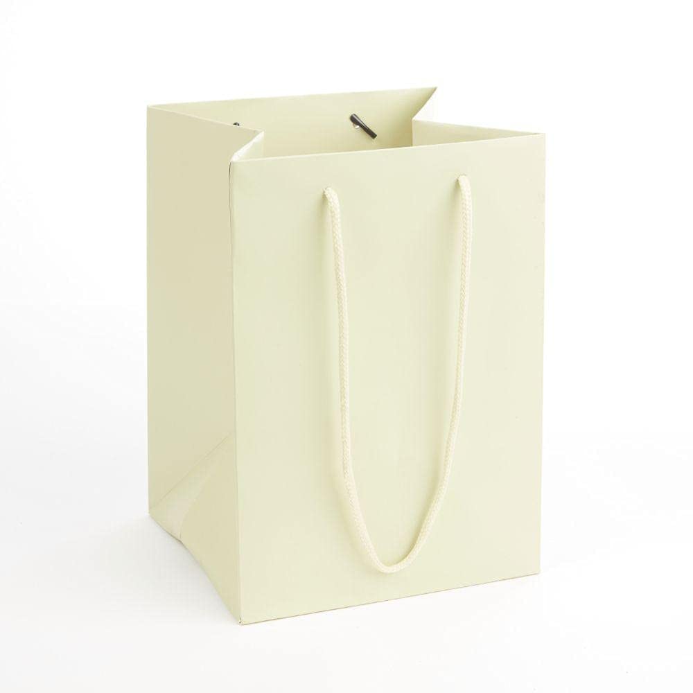Oasis Gift Bag - Pack of 10 Rope Handle Porto Bags - Ivory - Florist Hand Tied Flower Plant Transporter - 25cm x 18cm x 17cm