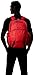 Oakley Blade 30L Backpack, Red Line