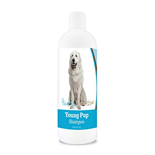 10 Best Shampoo For Great Pyrenees Puppy
