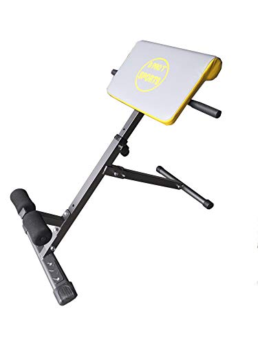 D pro T Back Hyperextension Bench
