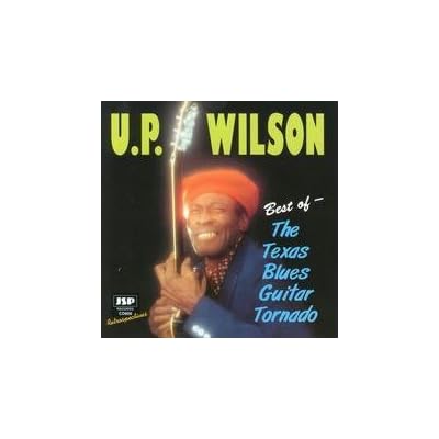 Best of the Texas Blues Guitar