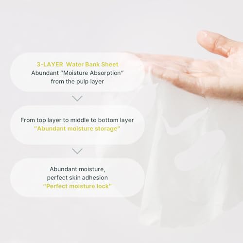 Image of Ariul 7days Mask Green Tea S (1 Sheet, 23ml) Daily Purifying Sebum Control Korean Sheet Mask with Green Tea, Reduces Acne, Pore Refining, Hydrating Soothing Facial Mask for Oily Acne Prone Skin