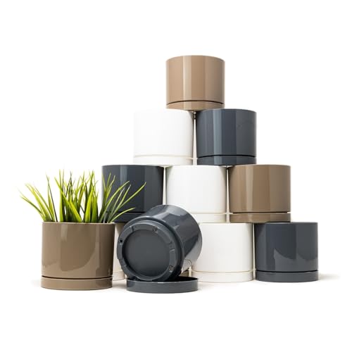 QILZO Vasetti per Piantine Grasse 10 cm - Set di