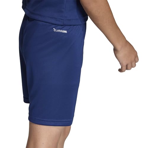 adidas Unisex-Kids Entrada 26 Shorts, Team Navy Blue/White, X-Large - image 7