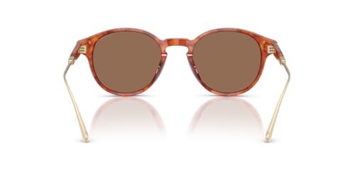 Coach Men's HC8428U Universal Fit Round Sunglasses, Caramel Tortoise/Brown Solid, 50 mm4