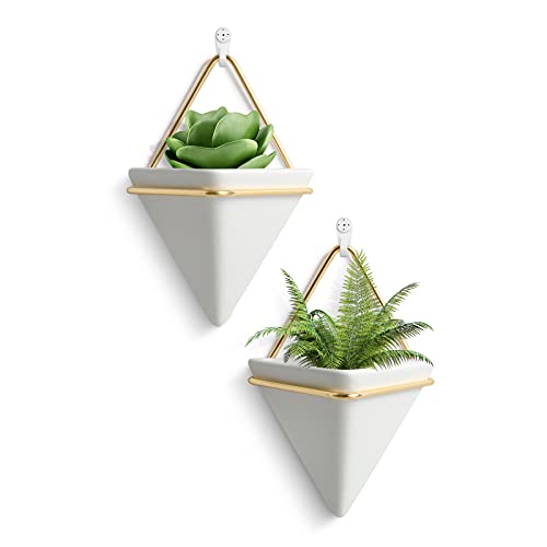 FairyLavie Maceta colgante de 10 cm Cover