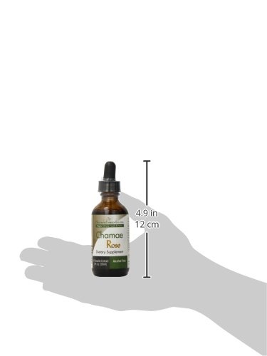 Harmonic Innerprizes Chamae Rose Extract, 2 Ounce By Harmonic Innerprizes #TOP4