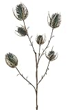 artplants