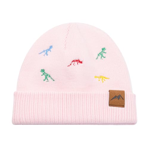 Image of XIAOHAWANG Knit Toddler Beanies Girls Boys Cute Kids Winter Hat Infant Dinosaur Baby Beanie Hats