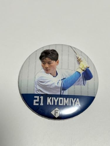 {KYV[NbgʃobW kC{nt@C^[Y