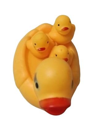 New fancy duck with child