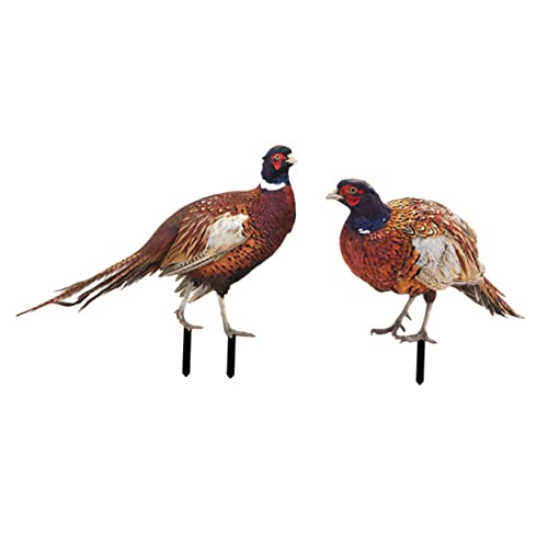 Yardwe 2pcs Decor Ornament Animal Chic Backyard Garden Sculptures for Landscape Chicken Ornaments Sculpture Acrylic Courtyard Statues Floor Stakes Lawn Patio Outdoor Pathway Sign Lifelike