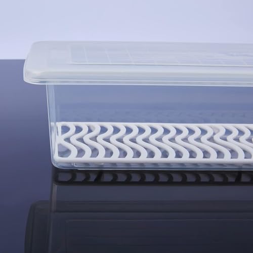Image of Fridge Organizer Boxes Set of 4, With Drain Plate 1500ML Refrigerator Storage Containers with Blue Lids & Stackable Design for Fruits, Vegetables & Kitchen Use