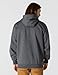 Carhartt mens Rain Defender Paxton Heavyweight Hooded Sweatshirt work utility shirts, Carbon Heather 2, Large US