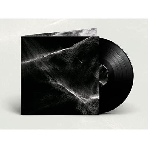Price comparison product image Final Light [VINYL]