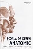 Scoala de desen anatomic