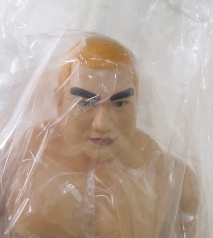 PRIDE 野獣　藤田和之 ソフビ　新品未開封 Amazon.co.jp: 2002年製 格闘 PRIDE プライド ビッグサイズソフビ