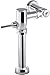Kohler K-76321-CP PRIMME Manual flushometer Valve for 1.28 gpf toiletPOLISHED Chrome