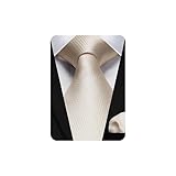 HISDERN Champagne Ties for Men Solid Plaid Beige Tie with Pocket Square Set Formal Mens Cream Ties Handkerchiefs Silk Satin Neckties Set for Wedding