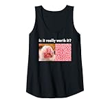 Funny Silly Cat Memes by The Meme Factory