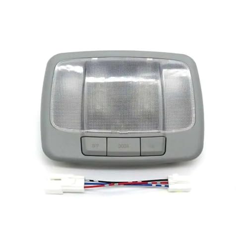 Plafonera de techo y luces de lectura auto para Hyundai Tucson 2005-2009 lámpara 928002E000QS