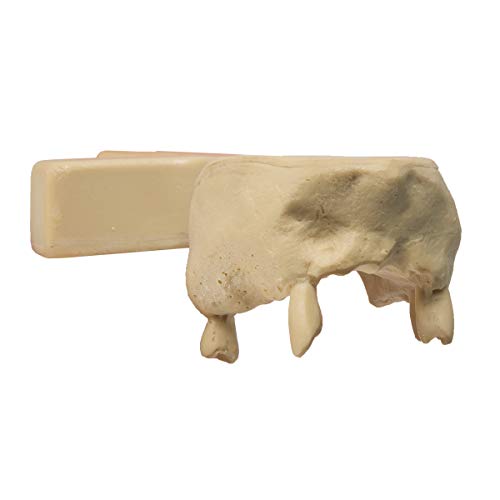 Image of W99981 Maxilla,Grade: 1 to 1, 0.75 inch Height, 4.12 inch Wide, 9 inch Length