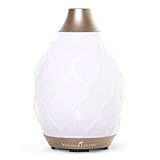 Young Living Desert Mist Ultrasonic Essential Oil Diffuser, Tangerine Oil and Peppermint Oil 5 ml - Bundle