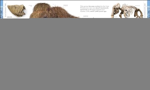 Dinosaurs and Prehistoric Life: The Definitive Visual Guide to Prehistoric Animals