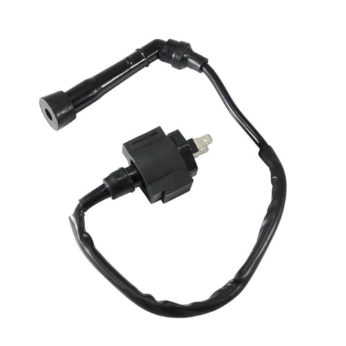 Bobine d'allumage 62310-CEE-00 pour quad RAM 300 et Stinger 300