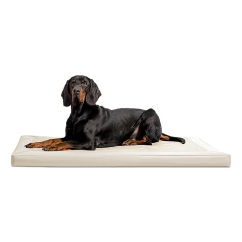 tierlando® Orthopädische Hundematratze Carlos VIP Ortho-Medic Hundematte aus Kunstleder und Velours mit Visco Memory Foam, Größe: 80x60cm | Farbe: 05 Creme