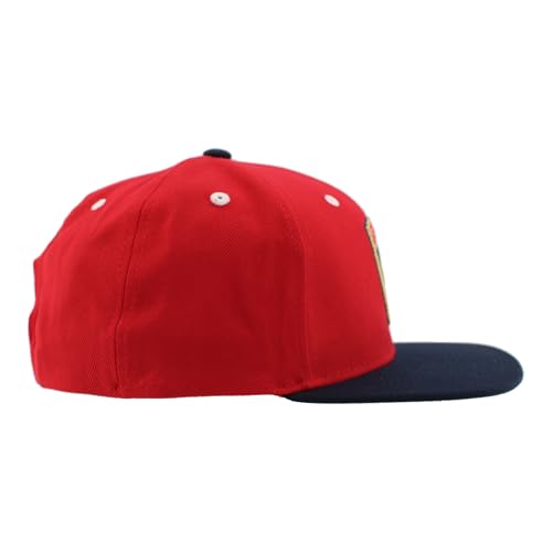Image of ZHATS NHL Unisex-Adult NHL Officially Licensed Adjustable Snapback Hat Flat Bill Z11 Icon Two Color