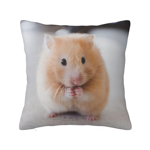 킢 nX^[ NbVJo[ 50x50cm Jo[ _炩 킢  \t@w G ƒp ItBX zep ԗp zcJo[ CeA