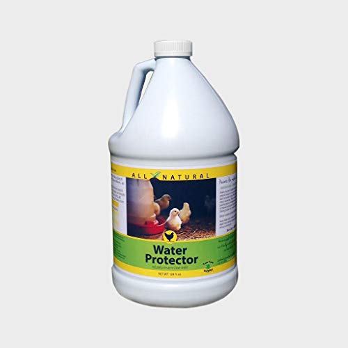 Carefree Enzymes 94112 Protector, 128 oz. Naturally ensures Clean Water, Clear
