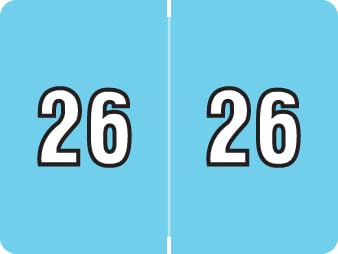 2026 Year Stickers, Doctor Stuff 2026 Chart Stickers, Light Blue Color Coded, Data File Style, USA Made Year Labels for End Tab File Folders, 500/Roll, 1 Roll, 15/16