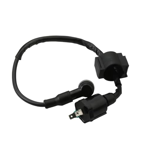Bobinas de encendido de moto y componentes CDI para modelos CBT125 5