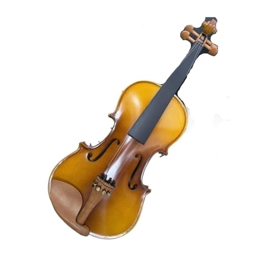 AR[XeBbNoCI S҂ɍœKȁAic̖؂̕igpAVR̎Ȗ͗l̃[vސoCI 4/4 nhChAeB[NB