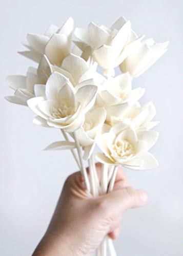 10 Lily 2" Sola Flower Reed Diffuser for Home Fragrance by Plawanature.