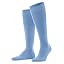 Cornflower Blue 6554