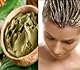 Neha 100% Pure & Natural Herbal Henna Mehandi Powder Enriched With Green Tea,Aloe Vera,Habiscus 500 grm