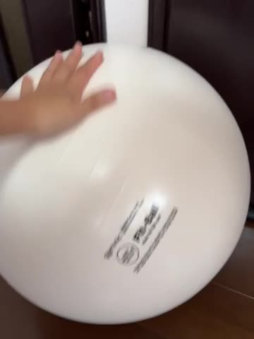 【新品未使用】ギムニク フィットボール 55cm パールホワイト 100000001002321786_10205_001.jpg