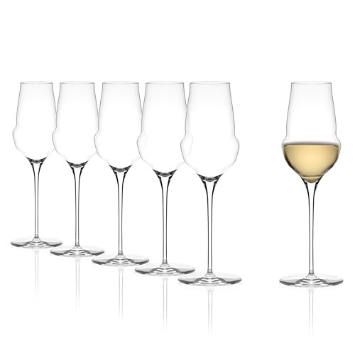 Stölzle Lausitz Cocoon Copas de Champán Set de 6, 340 ml – Copas de Cóctel de Champán Extravagantes, Ideales para Vinos Espumosos – Flautas de Cristal Hechas en Alemania – Apta Lavavajillas