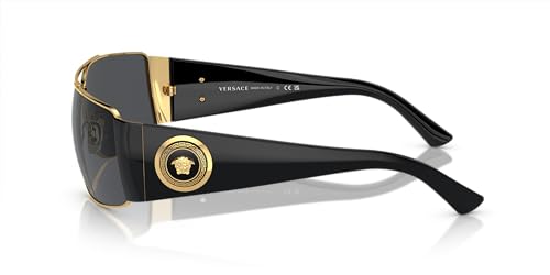 Versace Man Sunglasses Gold Frame, Dark Grey - Polar Lenses, 63MM2