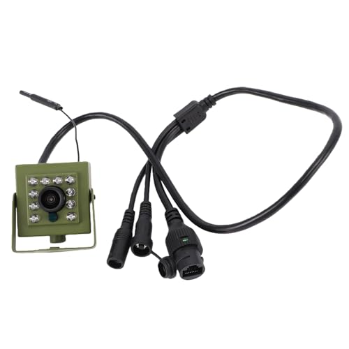 Caméra de Surveillance de la Faune, Caméra de sécurité Intérieure et Extérieure, Caméra de Vision Nocturne pour Nichoir, Caméra Grand Angle WiFi 2,4 GHz avec 10 LED, pour