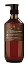 Theorie Green Tea Energizing Shampoo, 27 fl.oz.