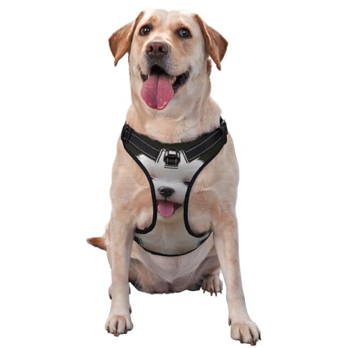 Bichon Frise Dog On The Grass Dog Harness with Leash Set, Adjustable Pet Vest Harness Durable for Small Medium Large Dogs, 4 Sizes