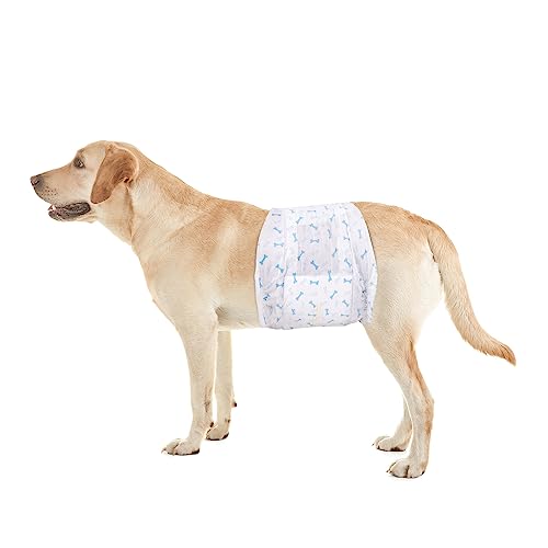 Envolturas para perros machos (M, 40)