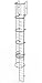 Tri-Arc WLFC1223 23-Rung Walk-Thru Fixed Steel Ladder with Cage